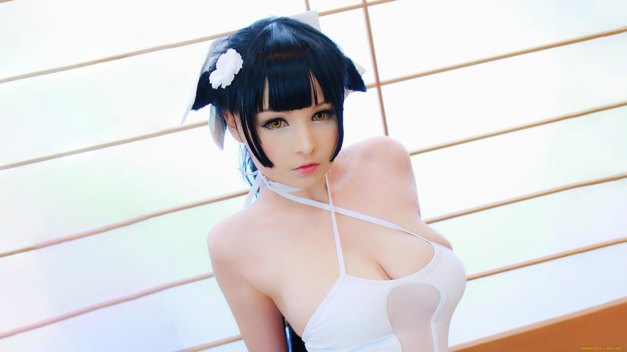 hidori rose, , , , , , , , , , , 